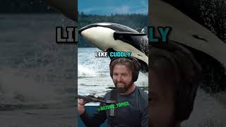 Killer Whales Uncovered The True Nature of Orcas with Forrest Galante amp Joe Rogan [upl. by Udele]