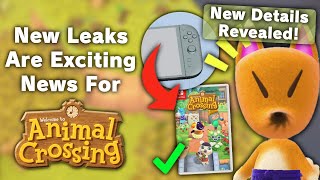 Huge New Leaks Are EXCITING News For Animal Crossing [upl. by Oel745]