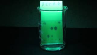 Thin layer chromatography of three analgesics and caffeine under UV light MVI 6155 [upl. by Ardnuassac]