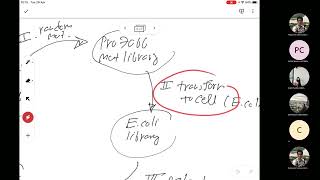 Plasmid Cloning Tutorial  Part2 260422 [upl. by Towrey]