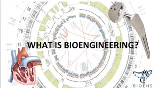 What is Bioengineering  BioEHS [upl. by Nivan354]