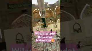 karbala vlog zikreshohdayekarbala travel iraqicities maksadekarblapaighamewilayat [upl. by Jud]