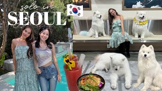 SOLO in SEOUL VLOG 🇰🇷 samoyed cafe fwee pop up in seongsu and lunch at saladaeng embassy [upl. by Khai]