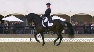 Carl Hester amp Hawtins DelicatoRoyal Windsor CDI 2018 [upl. by Ahsinaj]