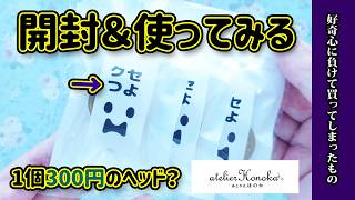 【福袋開封動画】あとりえほのかさんのクセつよスタンプガチャ買ってみたら？購入品紹介 [upl. by Yrovi312]