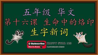 五年级 华文  第十六课 生命中的烙印  生字新词  词义  例句  部首  笔画  笔顺  构词 [upl. by Nnayrb]