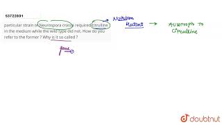 particular strain of Neurospora crassa required citrulline in the medium while the wild type did [upl. by Farnsworth]