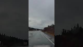 Newfoundland drivers  Sharp as liquid soap TheRealCancerMan88 automobile [upl. by Aiuqes833]