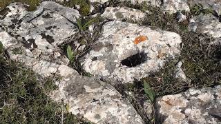 An ancient threshing floor Marathias Ithaca [upl. by Maurey]