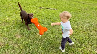 Baby Plays with His Dog and a Giant Bone [upl. by Ettelimay]