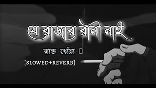 Je Rajar Rani Nai Se Raja Gaja Khay  Lofi Video  SlowedReverb  Bangla lyrics  Sayerin [upl. by Fortunato]