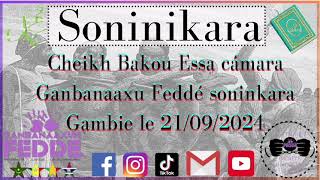 Cheikh Bakou Essa cámara Ganbanaaxu Feddé soninkara le 21092024 [upl. by De Witt901]