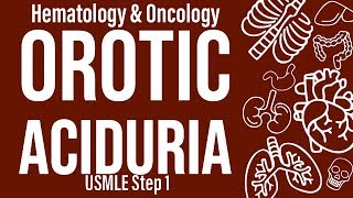 Orotic Aciduria HemeOnc  USMLE Step 1 [upl. by Akinad]