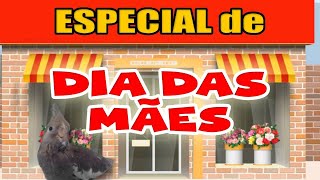 Calopsitas  Especial de DIA DAS MÃES  TENTE NÃO RIR  MEMES [upl. by Ellezig67]