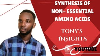 Synthesis of nonessential amino acids [upl. by Lang]