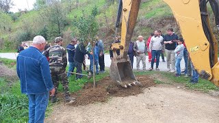 Volontariat Plantation Darbres Au Village Cheurfa quotTizi Ntletaquot ouadhias à Tizi ouzou Détails [upl. by Ahsinhoj]