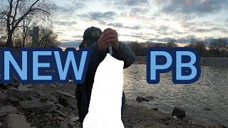 Catching ASIAN CARP while Striper Fishing at CARLYLE SPILLWAY  Spillway Fishing [upl. by Kev]