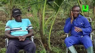 AYEKOO EXCLUSIVE INTERVIEW WITH RETIRED POLICE CID BOSS KEN YEBOAH NOW A FARMER [upl. by Esirehc]