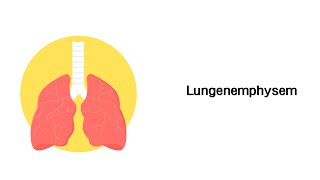 Lungenemphysem  Erkrankungen der Atemwege [upl. by Avehs141]