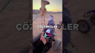 ÇÖZEMEZ ÇÖZEMEZZZ 🕺🐒 rap music lyrics [upl. by Cousin894]