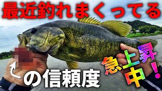 どうしても釣りたい人へ。最近おすすめな信頼度急上昇ワーム【バス釣り】【10月】【秋】 [upl. by Mortimer780]