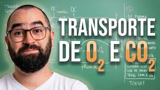 Transporte de O2 e CO2  Aula 23  Módulo 7 Fisiologia Humana [upl. by Yetac57]