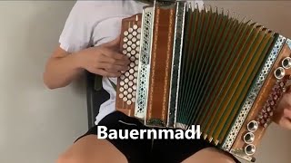 Bauernmadl  Steirische Harmonika [upl. by Aneerahs]