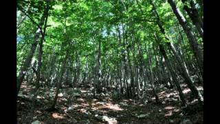 Immagini e pensieri da Campoli Appennino e dintorni [upl. by Longawa]