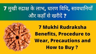 Everything About 7 Mukhi Rudraksha  Rudraksha for Wealth [upl. by Brass]