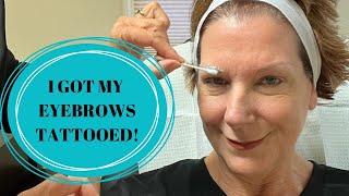 Eyebrows Tattooed with the SofTap Method [upl. by Lehplar140]