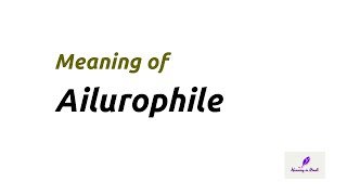 Meaning of quotAilurophilequot Noun in Hindi  Ailurophile का मतलब हिंदी में [upl. by Zins]