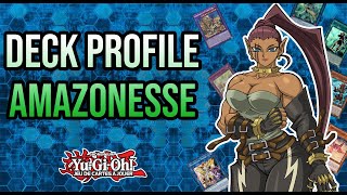 YUGIOH DECK PROFILE AMAZONESSE [upl. by Ydennek355]