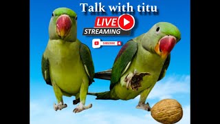 Subscribe for titu birds parrotsounds shortsvideo live livestream thetituparrot funny lives [upl. by Akenn]