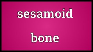 Sesamoid bone Meaning [upl. by Ainotna]