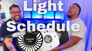 Light Schedule [upl. by Ecneps]