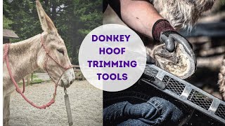 Donkey Hoof Trimming Tools [upl. by Bernadine]