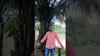 সিলেটি জহির পাগলা ডিজেগানdj2021 banglasong2024 [upl. by Robbie]