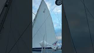 Colvic Watson 346 on the way sailboat sailing [upl. by Kimmi]