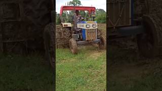 Swaraj 843 XM  puddling with half cage wheel  in rice field shorts [upl. by Meeki]