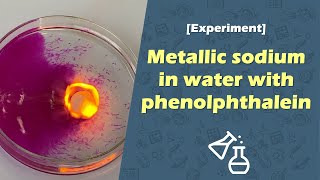 Metallic sodium in water with phenolphthalein Chemistry experiment [upl. by Atima]