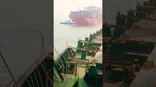 Adani port vessel barthing minivlogvideo trendingreels [upl. by Carlie759]