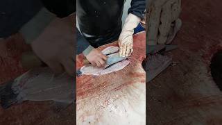 Learn the fastest way to fillet salmon [upl. by Shep113]