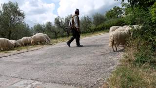 Best of Assisi  Familienwallfahrt mit Bischof Friedhelm [upl. by Cohbath]