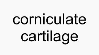 How to pronounce corniculate cartilage [upl. by Lielos]