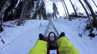 Slittovia Alpine Coaster  Tarvisio  Turismo FVG [upl. by Seluj]