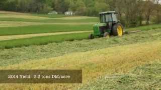 Triticale Cover Crops for Feed and Soil Health [upl. by Heron]