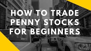 How To Trade Penny Stocks For Beginners [upl. by Booma]