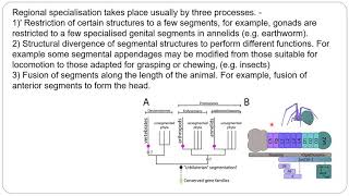 BSc 1st Sem P9Evolution of Segmentation in Metazoan Bijni College [upl. by Bette-Ann]