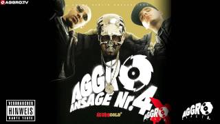 FLER  NEUE DEUTSCHE WELLE  AGGRO ANSAGE NR 4X  ALBUM  TRACK 02 [upl. by Epuladaug]