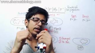 Bacterial Conjugation  Hfr f prime and f plasmid [upl. by Veron]